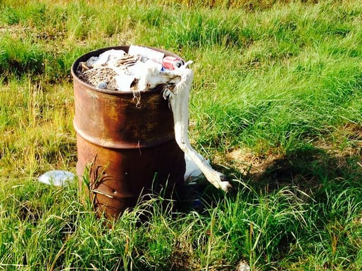 Alaska caribou leg in garbage can