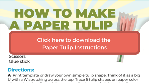 click here to download the paper tulip instructions