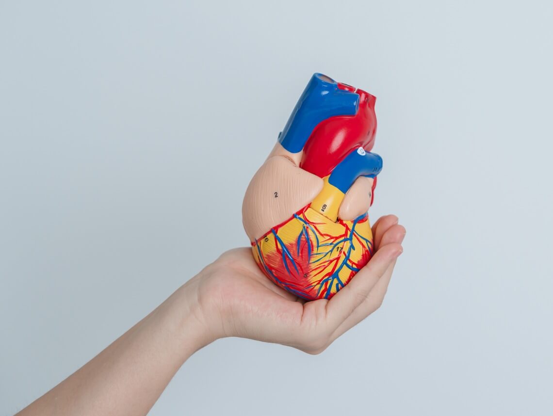 Aortopulmonary (AP) Window