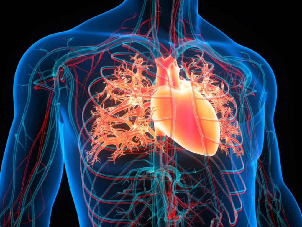 Coarctation of the Aorta