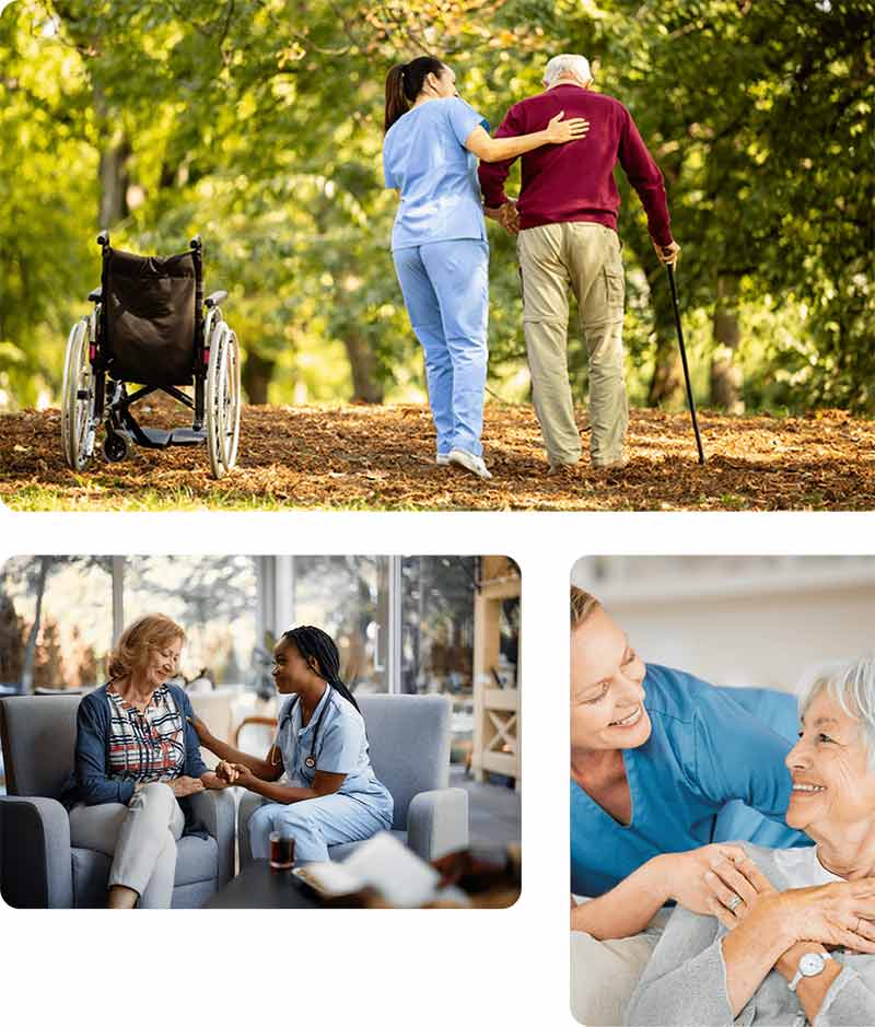Customized Companion Care Plans