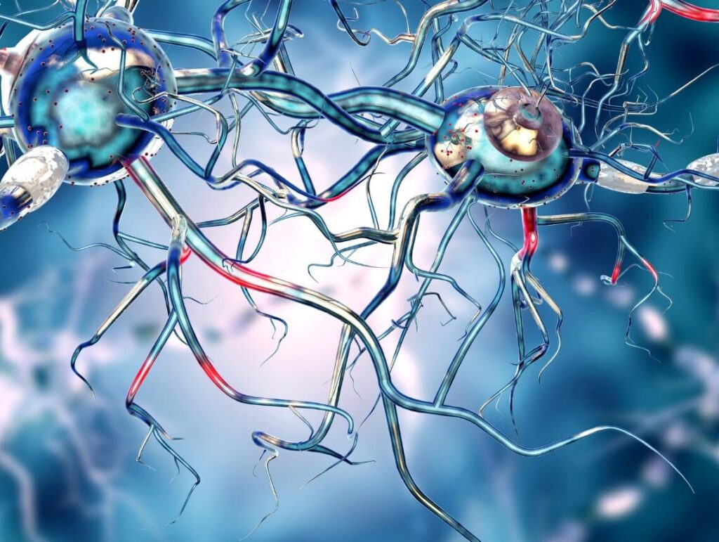 Huntington’s Disease