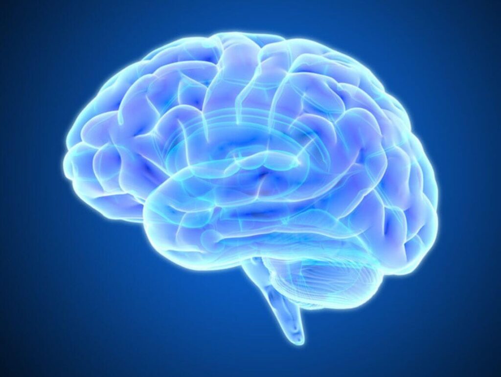 Agenesis of the Corpus Callosum (ACC)