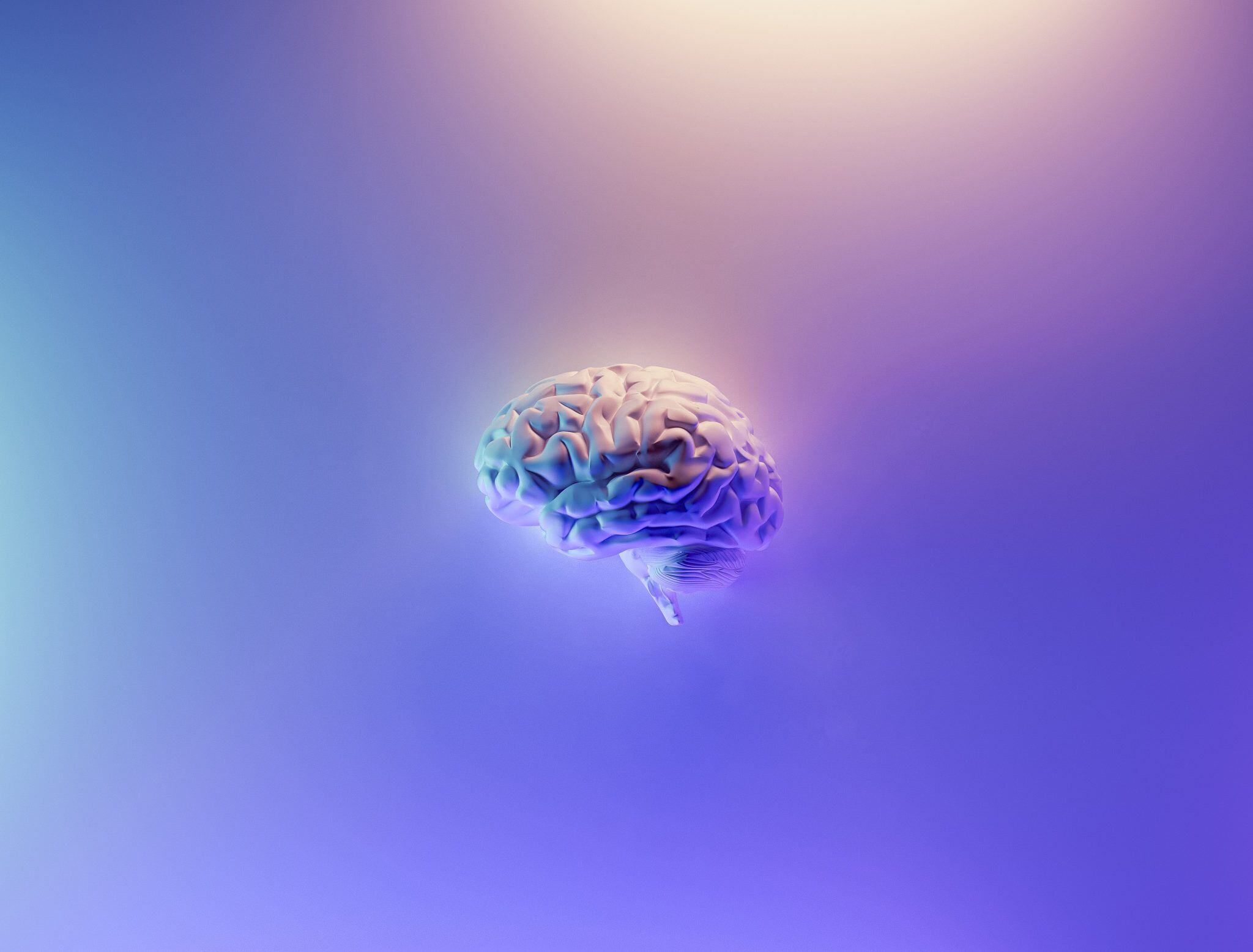 Pediatric Neurodevelopmental Treatment (NDT) & Physical Therapy