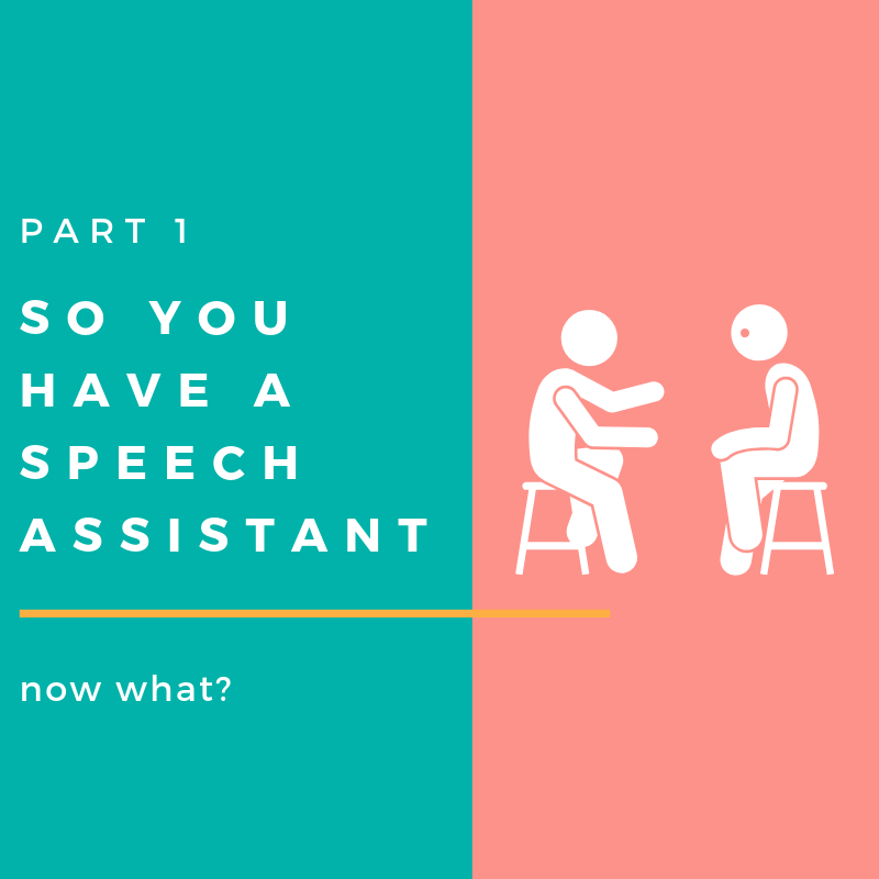 So You Have a Speech Assistant …