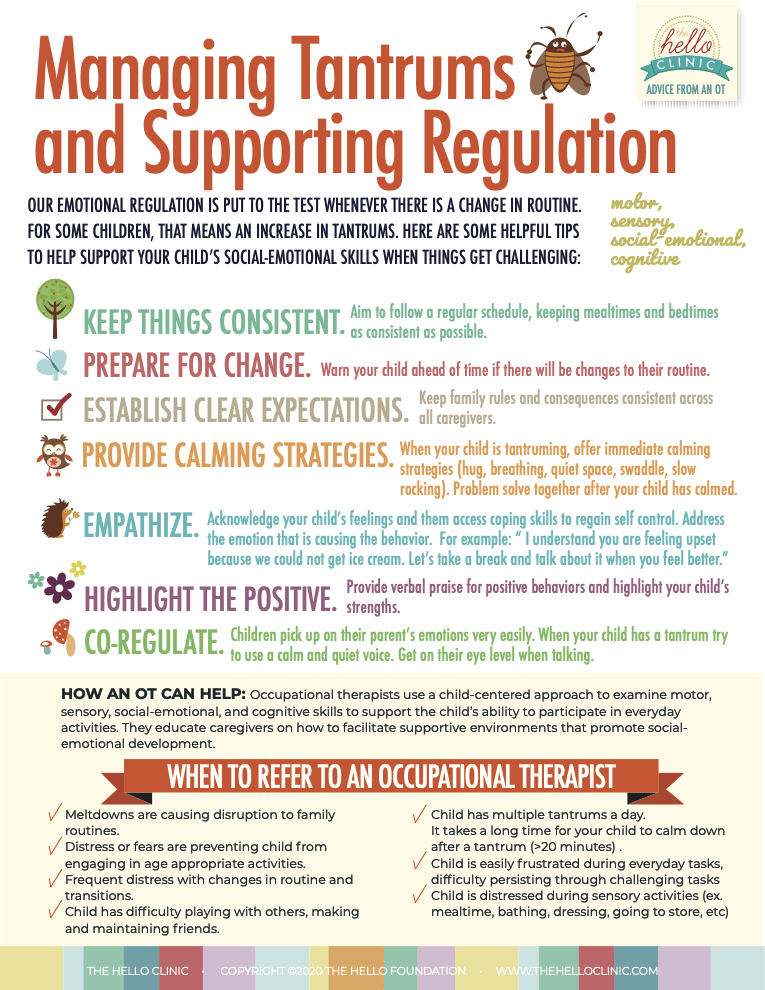 Managing Tantrums & Supporting Self-Regulation